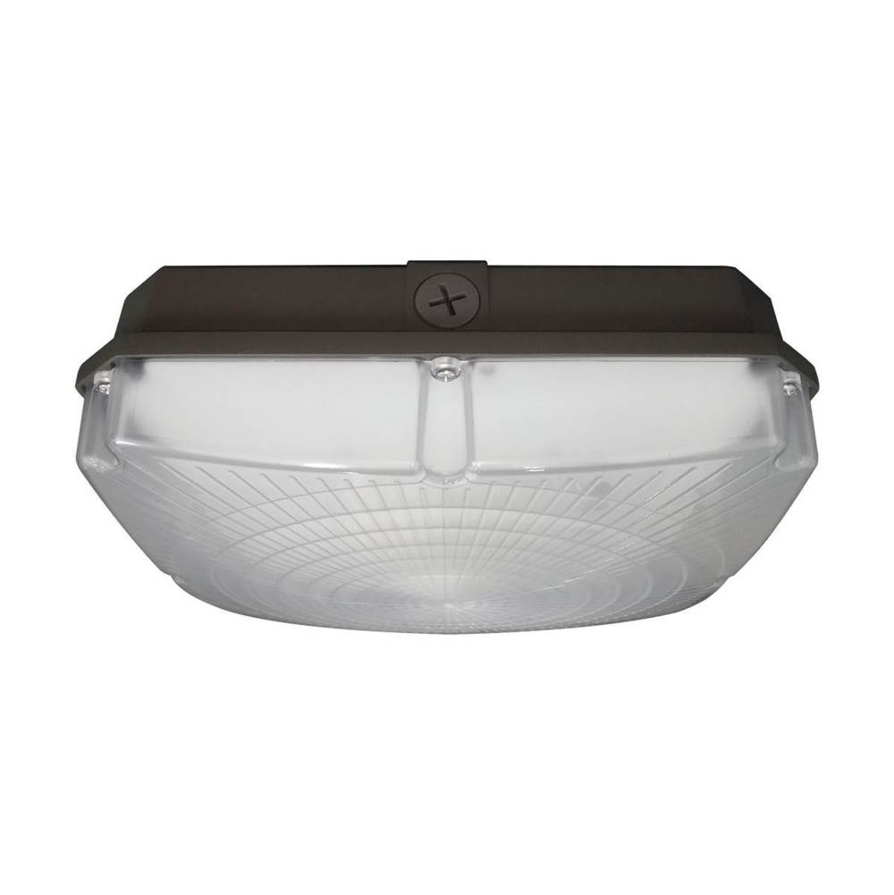 Nuvo 40 W LED Canopy Fixture 10''